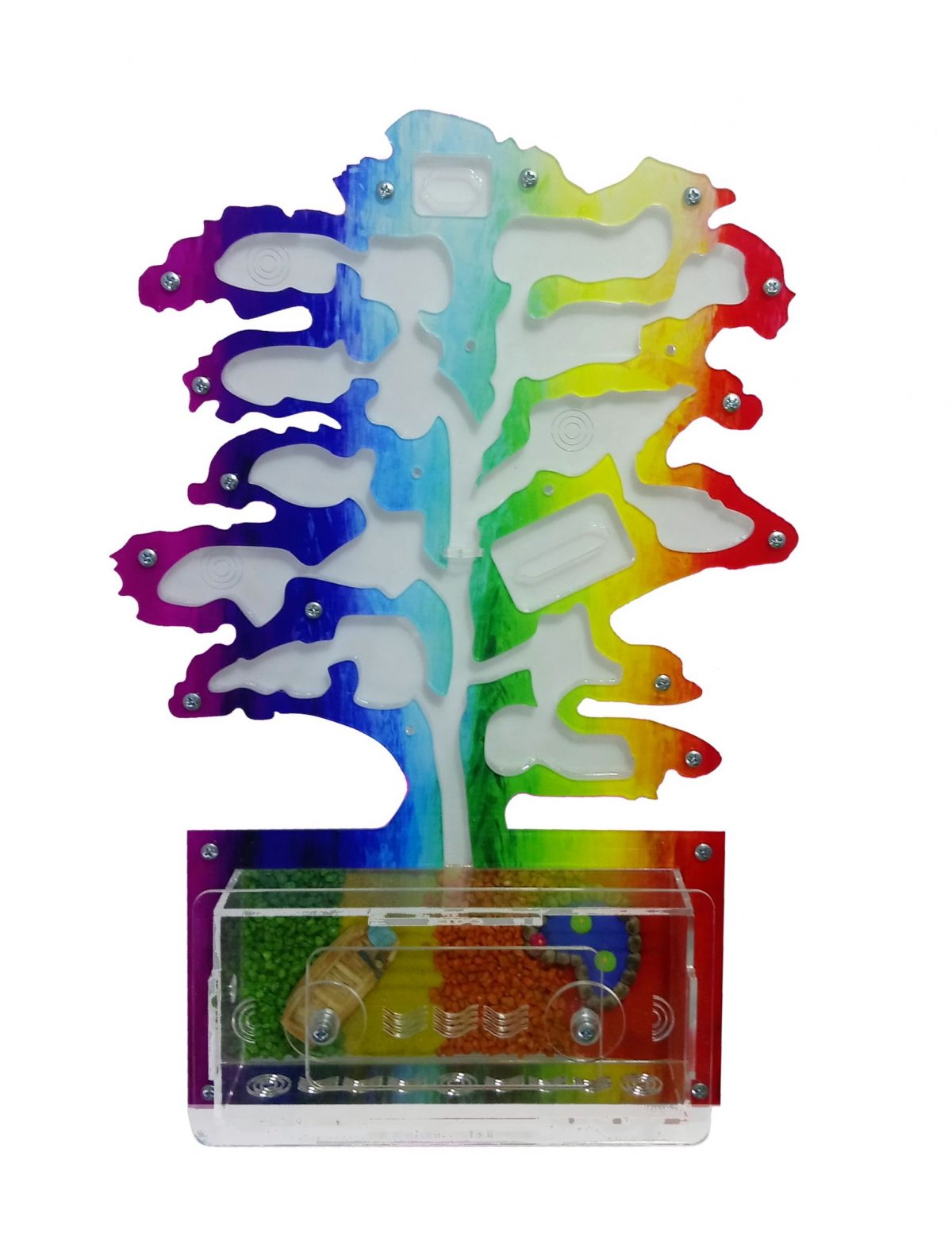 DSC_0901